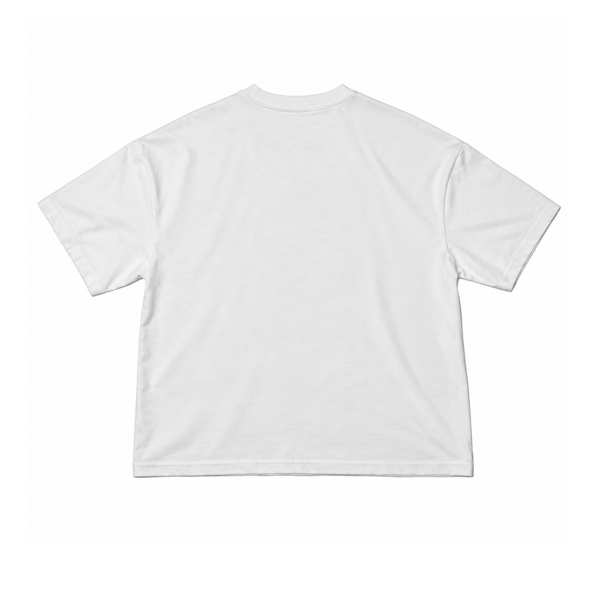BYND STUDIOS T-shirt in ivory, back
